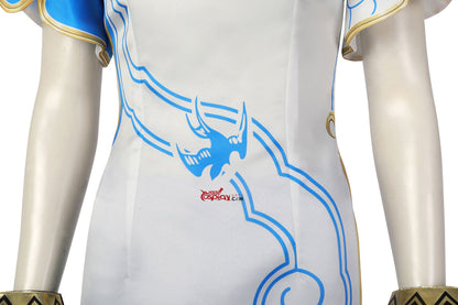 Street Fighter Chun Li Cheongsam Cosplay Kostüm